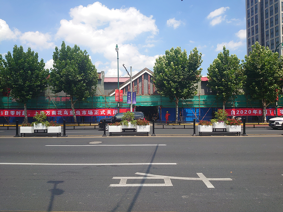 上海市中心最大的花鸟市场,曾经的上海4大花鸟市场