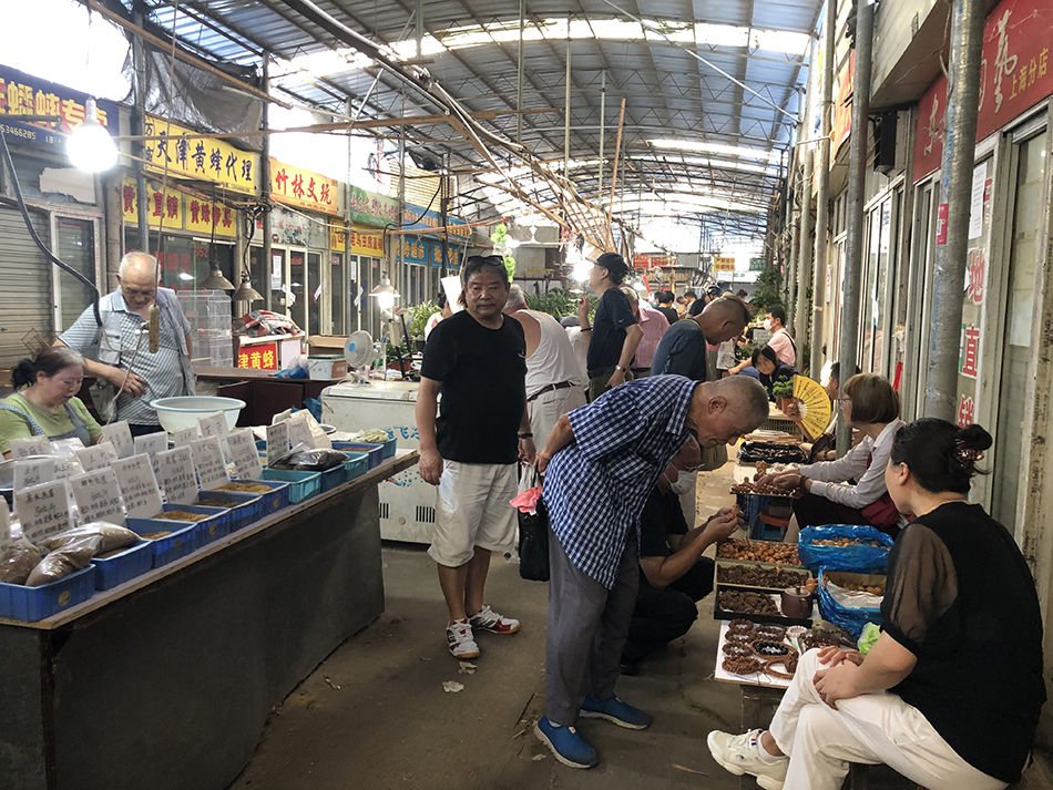 上海市中心最大的花鸟市场,曾经的上海4大花鸟市场