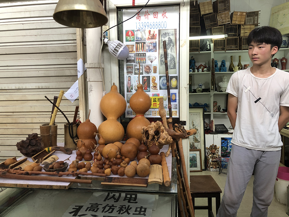 上海市中心最大的花鸟市场,曾经的上海4大花鸟市场