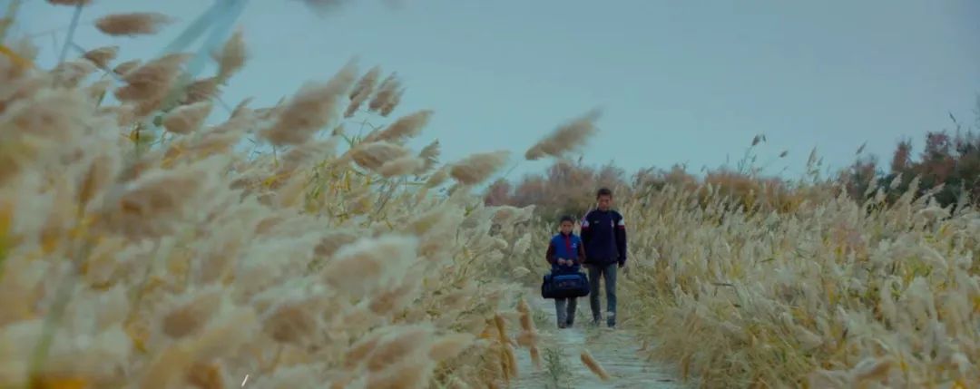 电影院复工后首批上映影片公布,电影院复工看什么