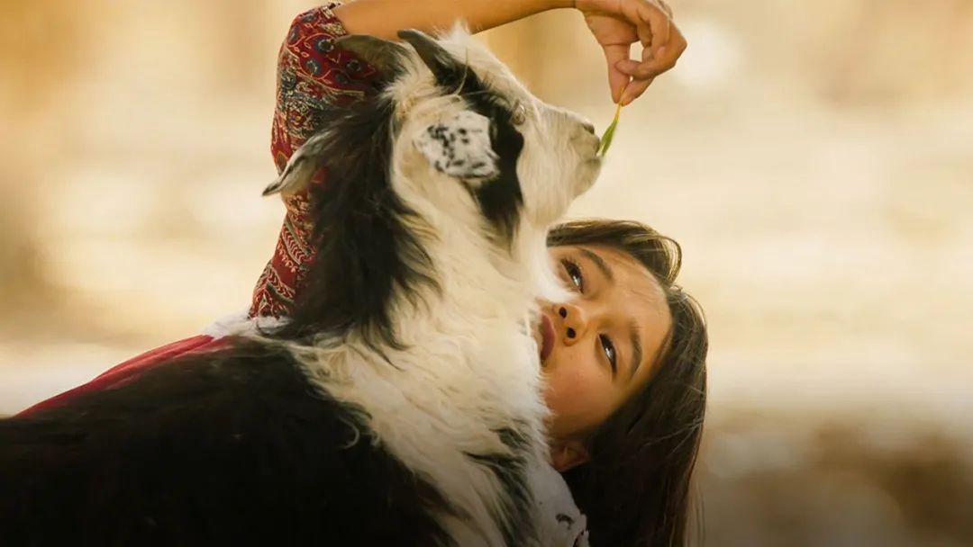 电影院复工后首批上映影片公布,电影院复工看什么