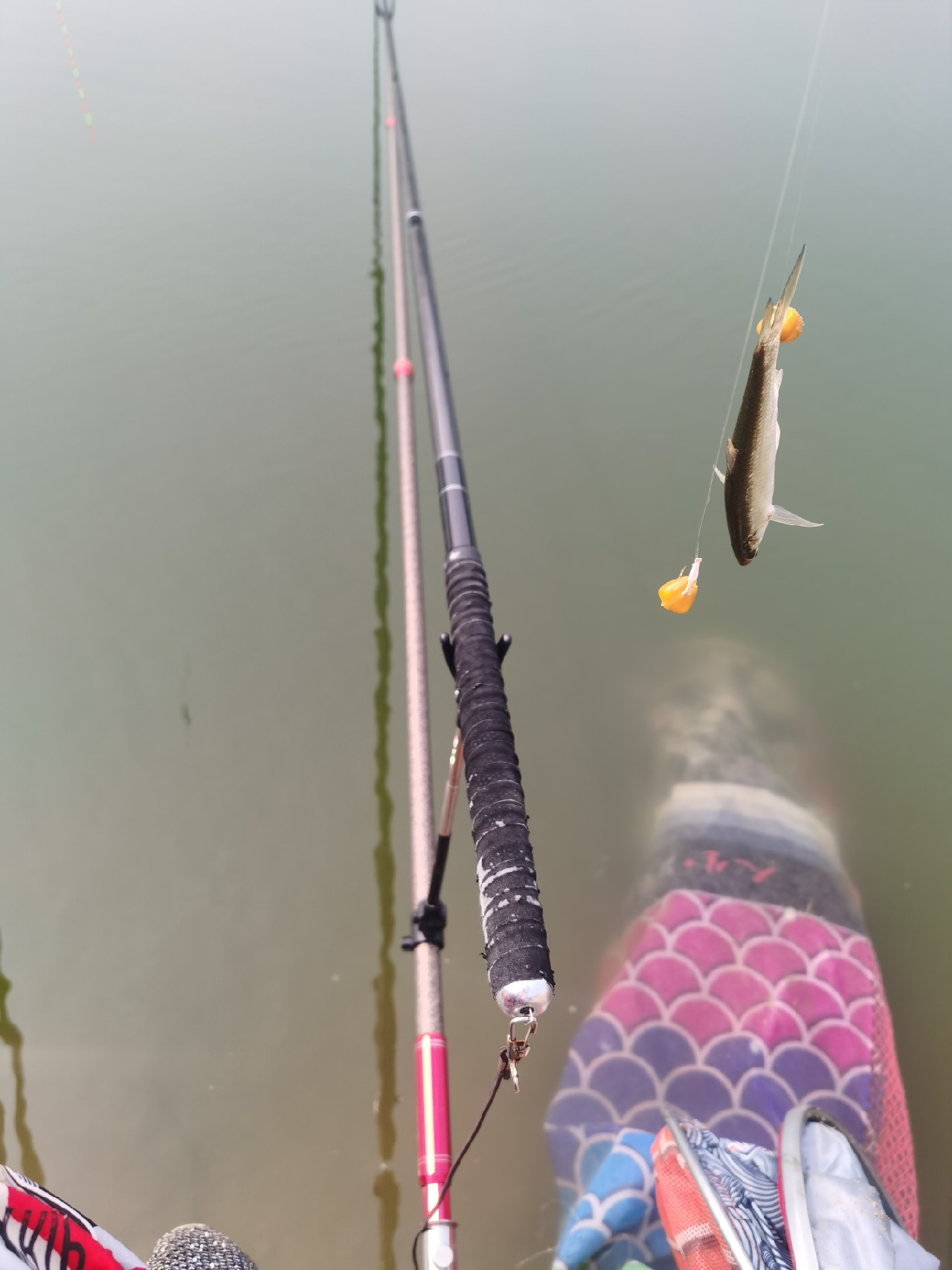 格局小了眼界低了路走窄了,格局小了就觉得现实