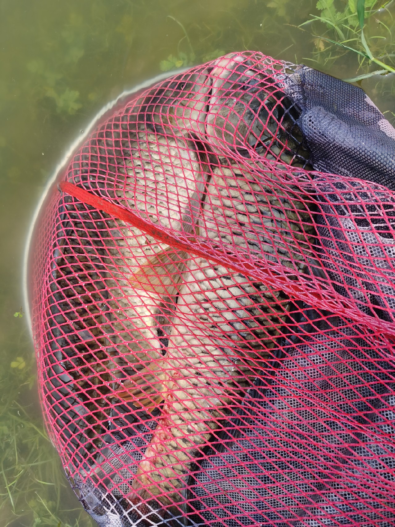 格局小了眼界低了路走窄了,格局小了就觉得现实