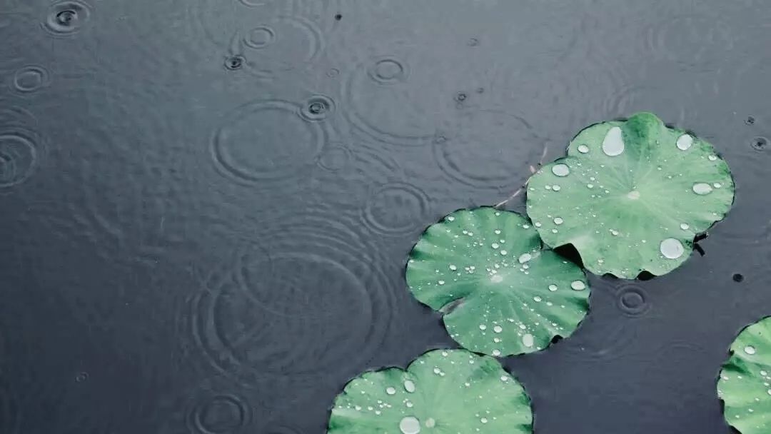 你好这里是成都翻译英文,你知道武汉商学院么