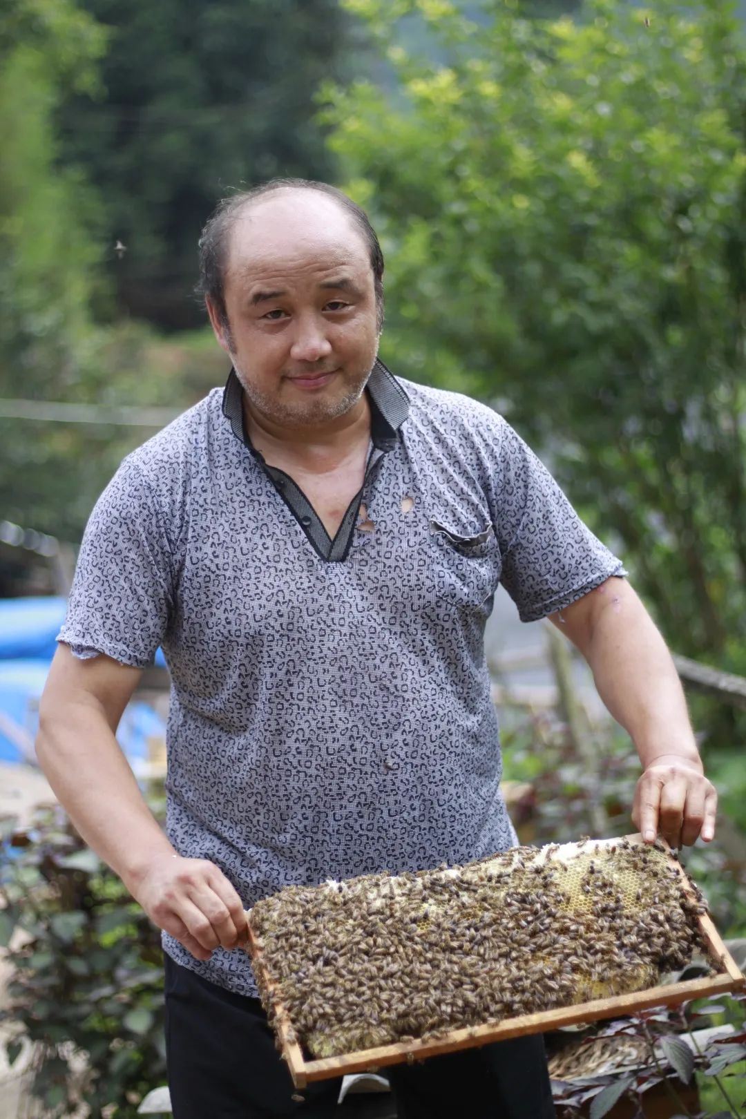 江山蜂产品,江山养蜂技术