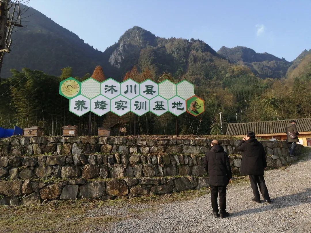 江山蜂产品,江山养蜂技术