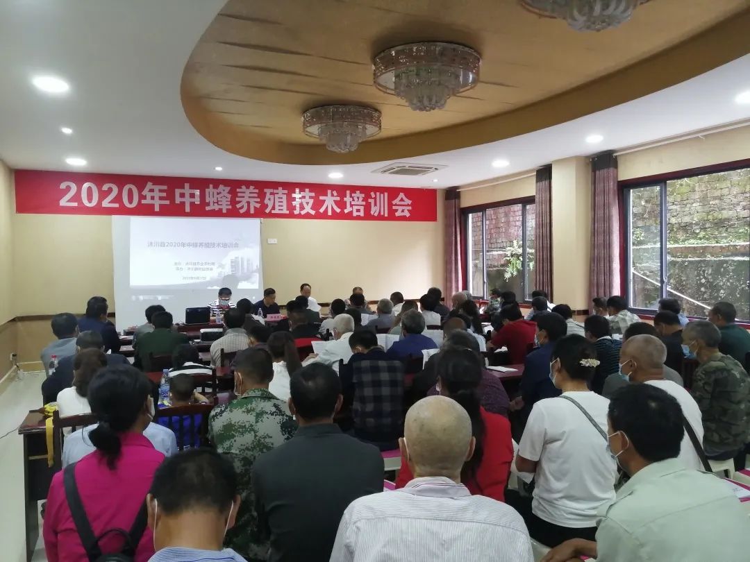 江山蜂产品,江山养蜂技术