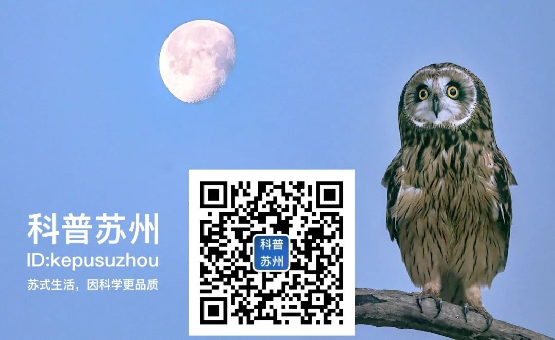 把妈妈粪便喂给新生儿,有助婴儿肠道菌群健康!宝宝:真是我妈一把屎一把尿喂大的……