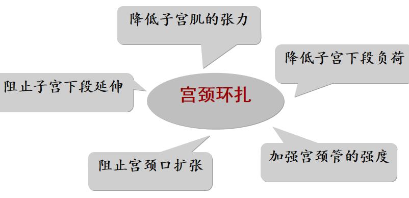 徐焕聊育儿,徐焕医生