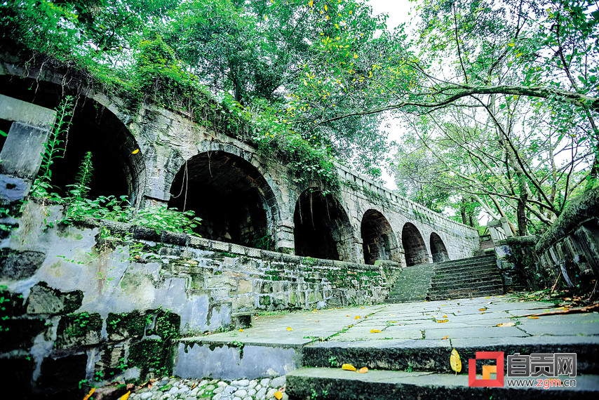 四川自贡记者采访,自贡媒体人视频