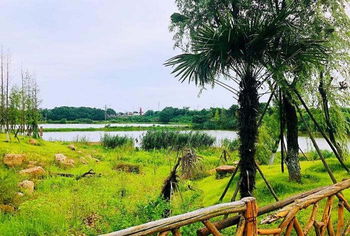 长沙哪里有可以玩沙子的地方,不去海边