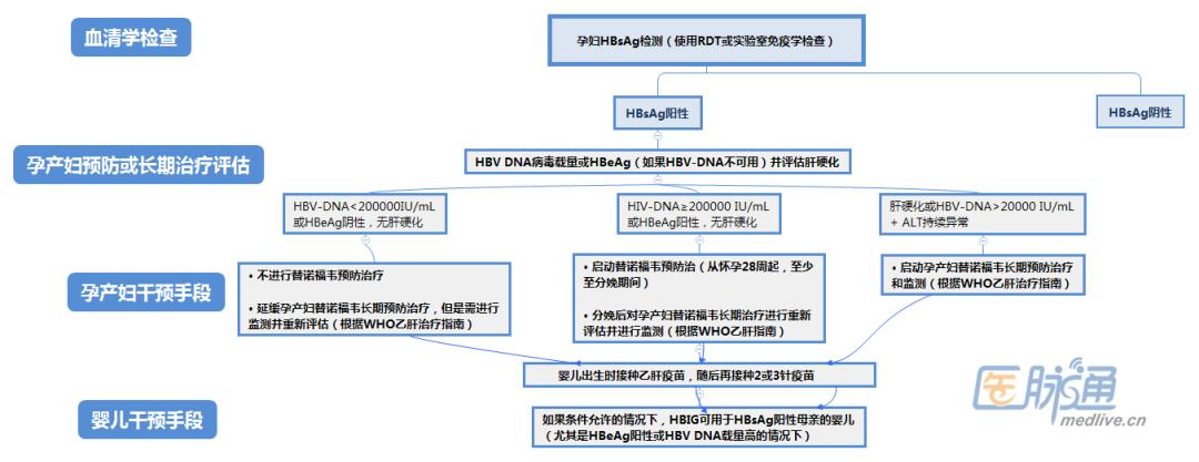 who乙肝指南,who预防ssi全球指南