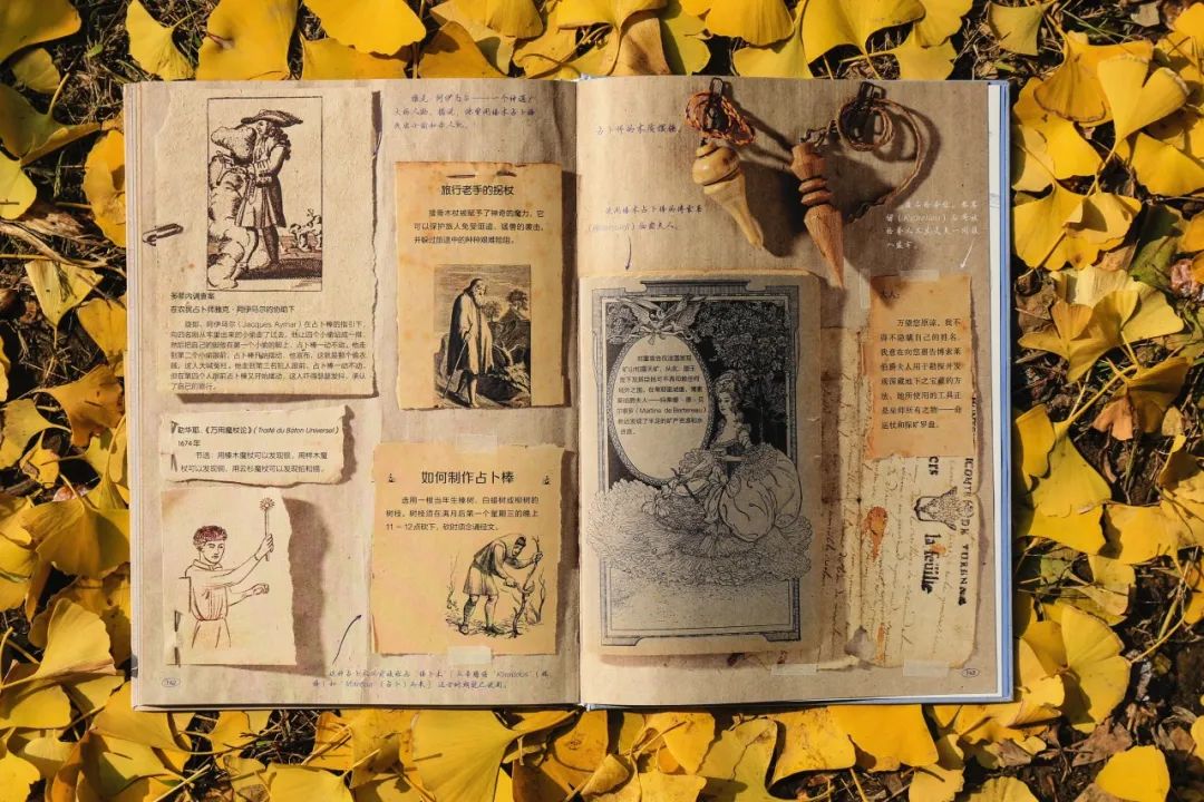 哈利波特霍格沃茨典藏版,哈利波特里的神奇植物