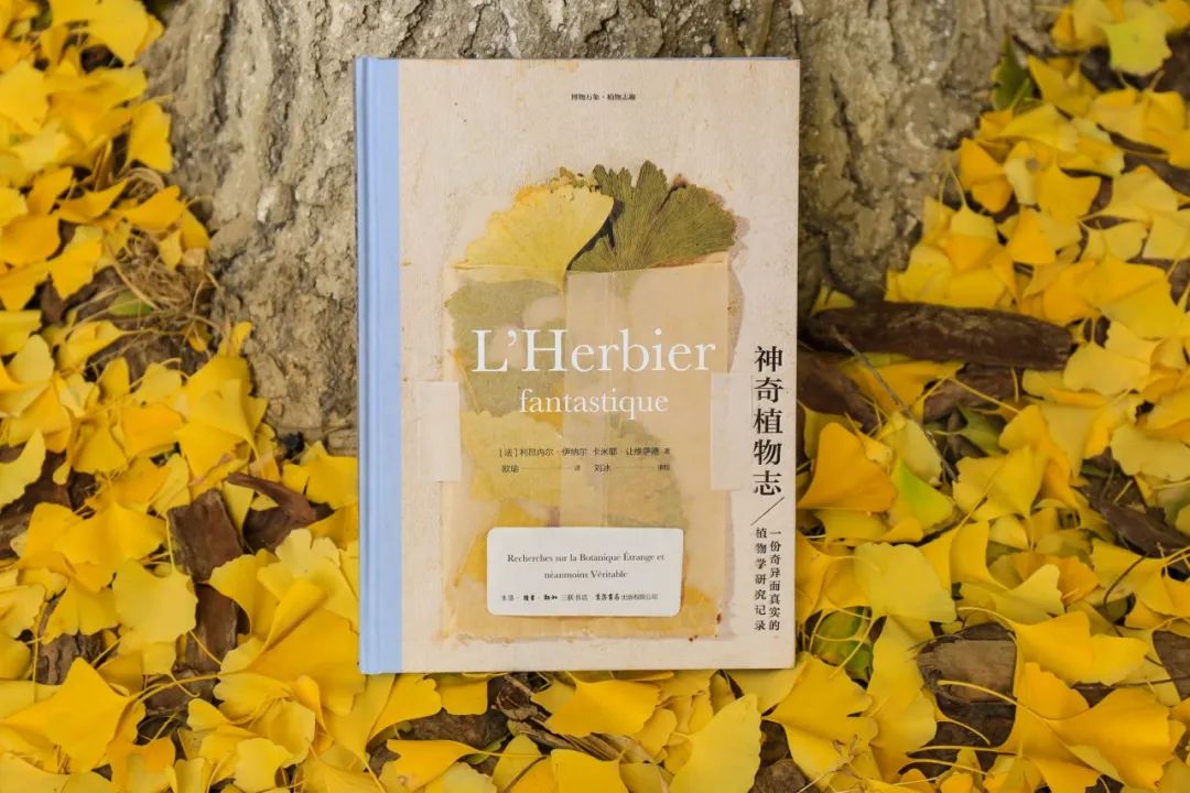 哈利波特霍格沃茨典藏版,哈利波特里的神奇植物