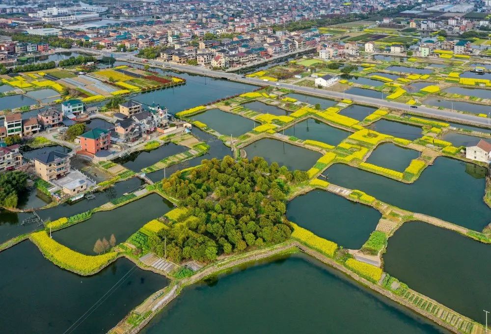 瓜沥书记朱国军,朱国军萧山瓜沥