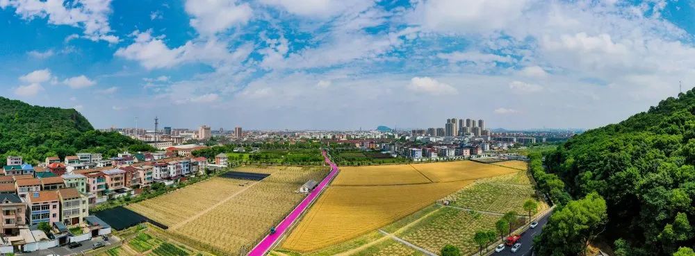 瓜沥书记朱国军,朱国军萧山瓜沥