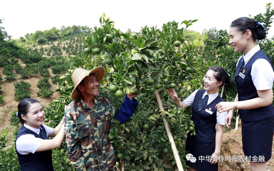 上半年累放*款贷**2136亿元!广西农信社服务实体经济交出“漂亮答卷”