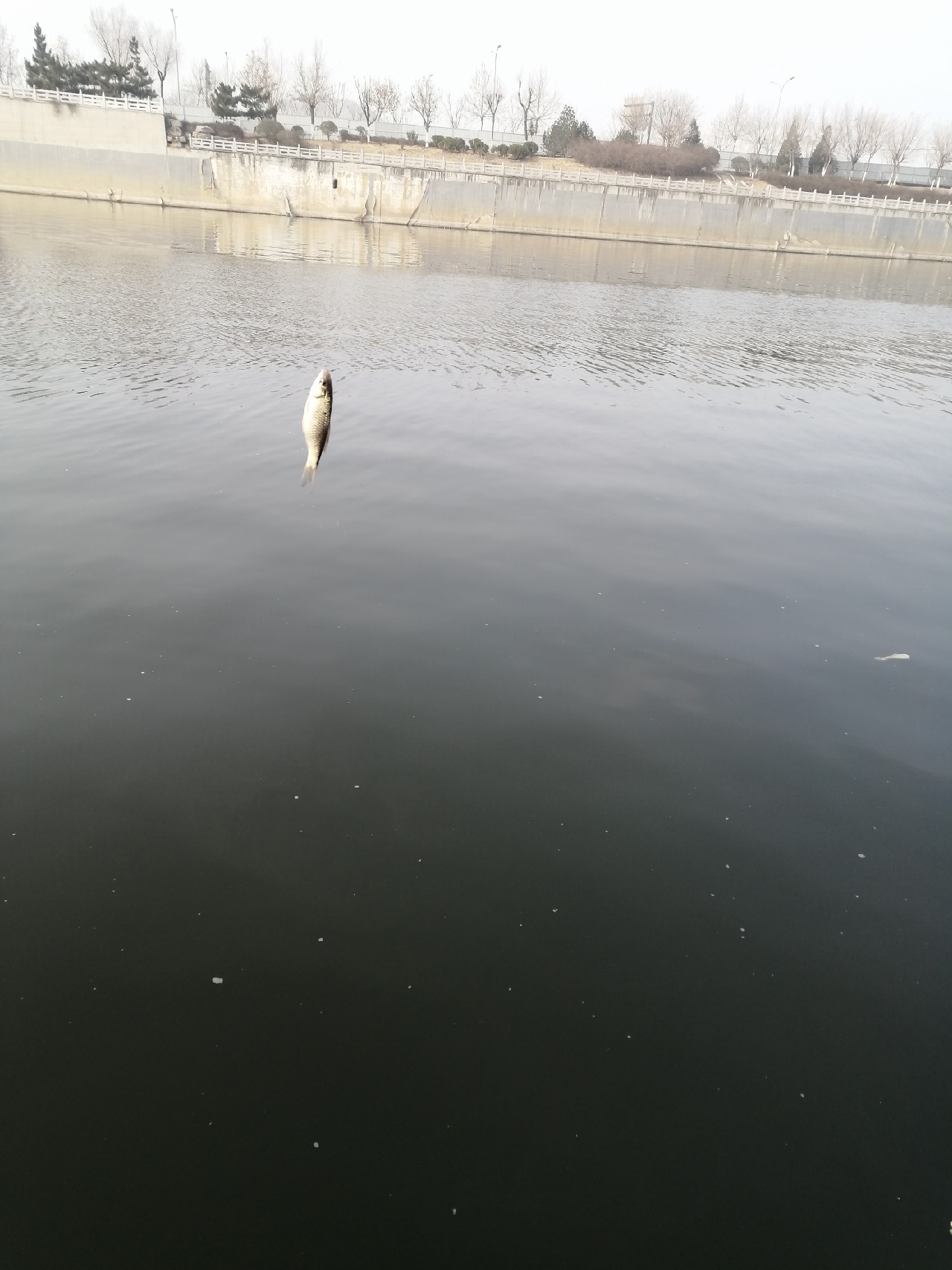 返璞归真简简单单,返璞归真一路前行