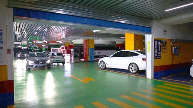 乘风破浪的姐姐们入场,乘风破浪的姐姐们齐现身