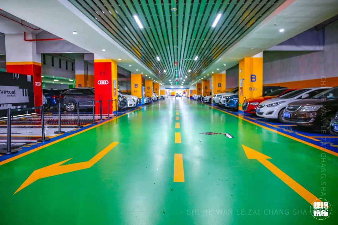 乘风破浪的姐姐们入场,乘风破浪的姐姐们齐现身