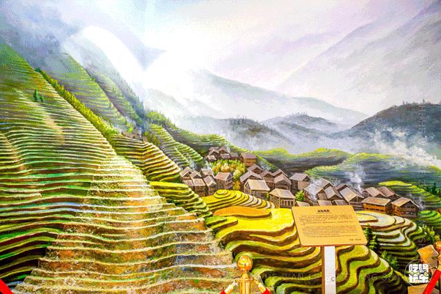 乘风破浪的姐姐们入场,乘风破浪的姐姐们齐现身