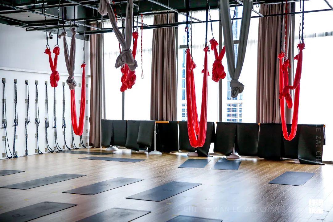 乘风破浪的姐姐们入场,乘风破浪的姐姐们齐现身