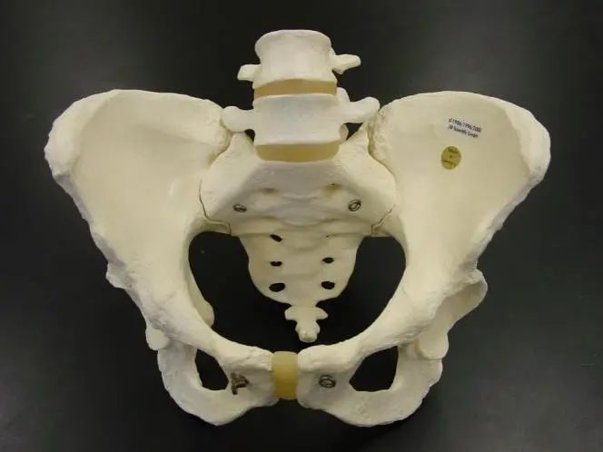 骨盆恢复后胯疼,产后骨盆和肋骨修复