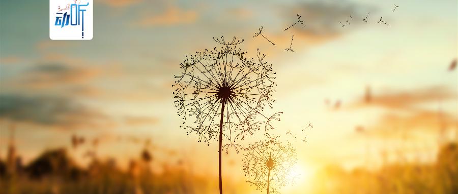 夜读学会高情商,夜读技巧视频