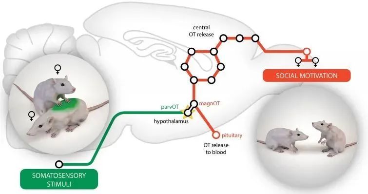 科学家拍摄,科学家拍视频