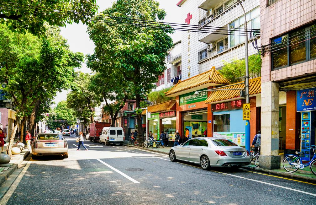 中医药巨大的宝藏,中医药文化宝藏