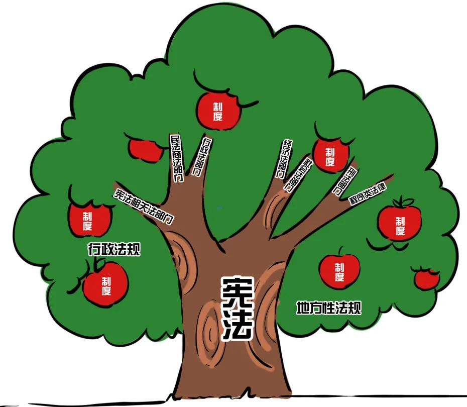 易中天法制和法治的区别,法制宣讲和法治宣讲区别