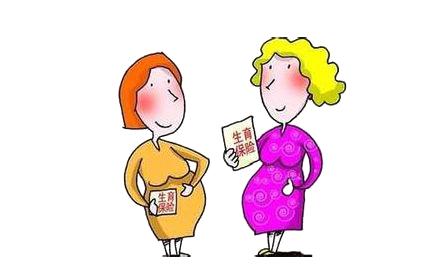 关于生育保险的问题可以咨询哪里,划重点的常识是什么