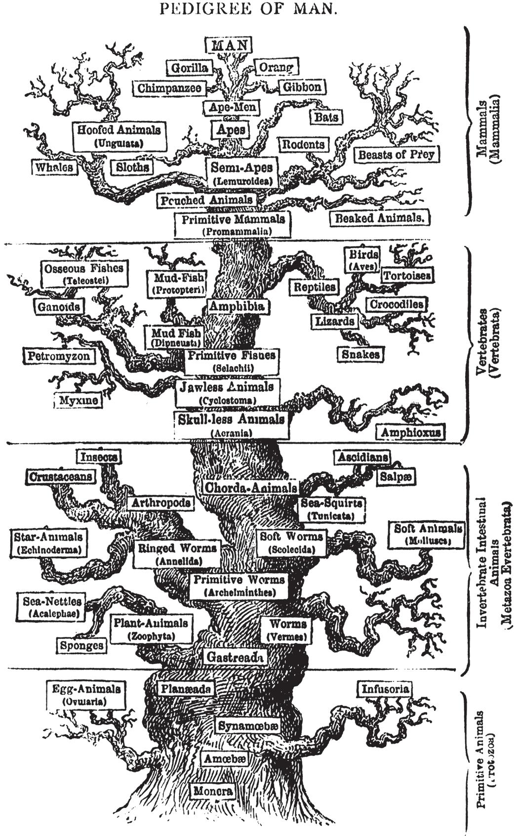 科学学习书评,科学史阅读理解