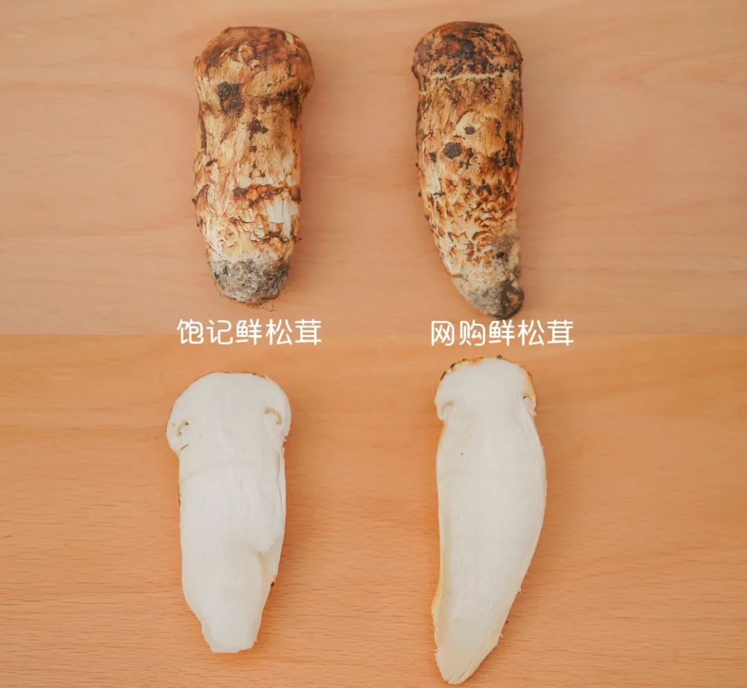 松茸比普通菌类贵多少,最好的松茸是哪里的