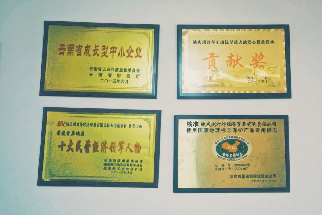 松茸比普通菌类贵多少,最好的松茸是哪里的