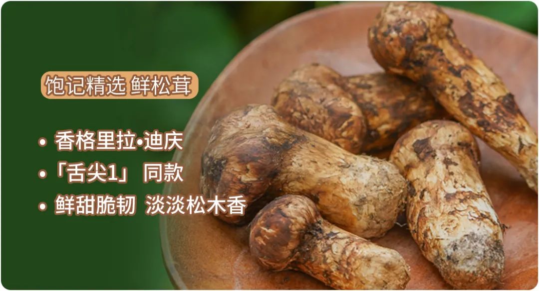 松茸比普通菌类贵多少,最好的松茸是哪里的