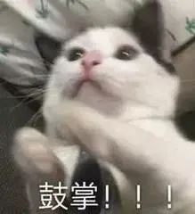 乘风破浪的姐姐加油嘉宾,加油少年乘风破浪的姐姐