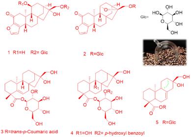 云南咖啡品质如何,云南咖啡味道独特的原因