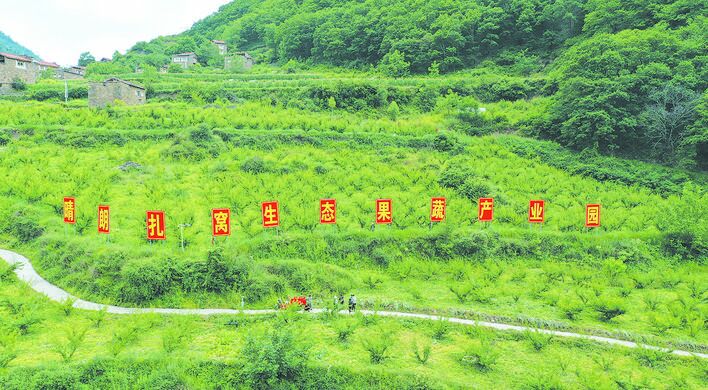 让青红脆李成为脱贫致富的“能量果”|黑水县扎窝乡西厘村村民王西东发展青红脆李小记