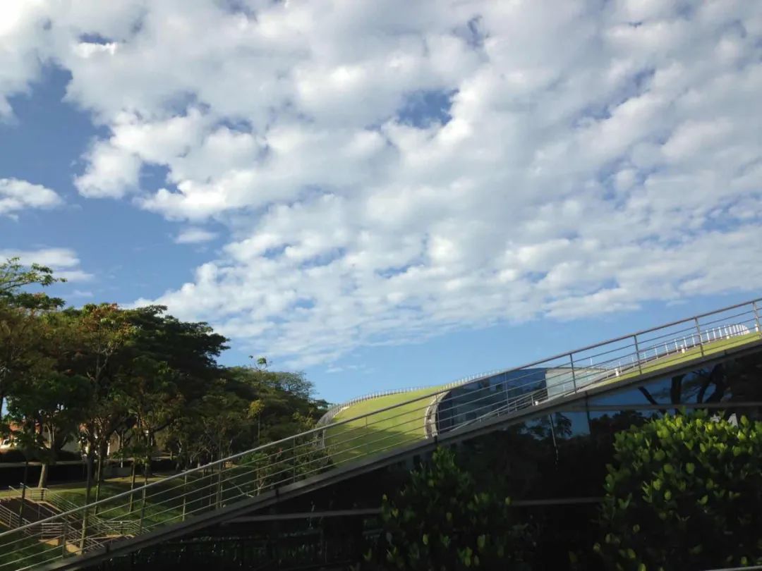 新加坡管理学院本科留学值得吗,新加坡留学值得去吗