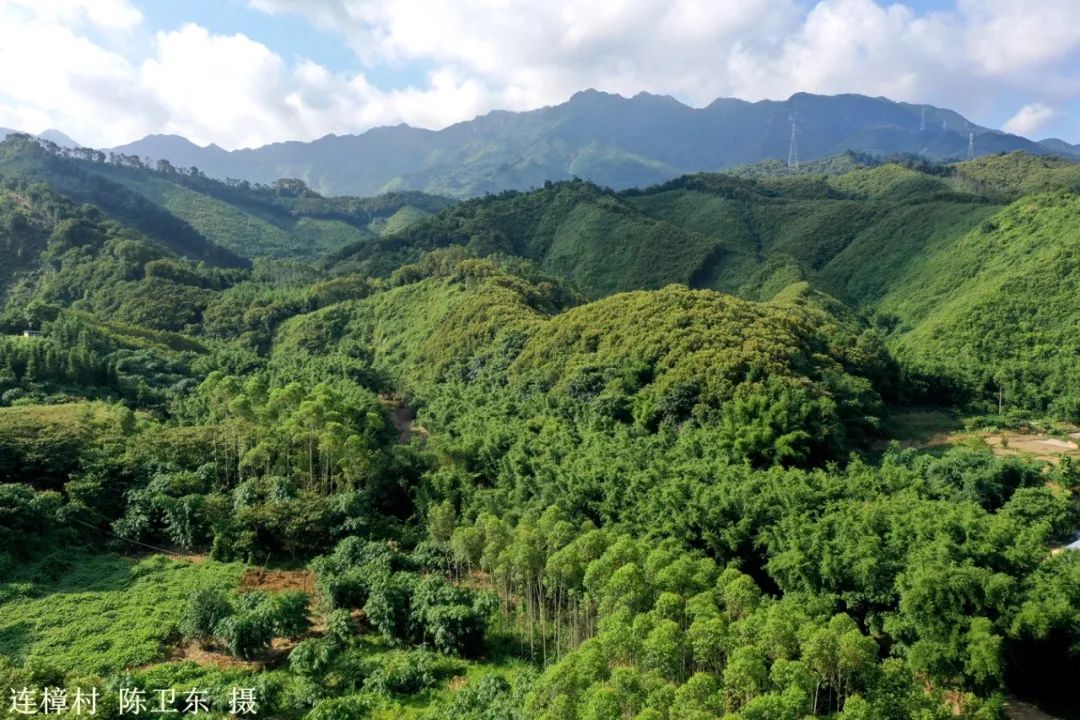 英德市连口镇连樟村,连樟村旅游景点