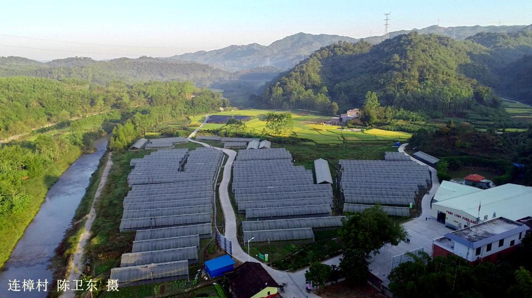 英德市连口镇连樟村,连樟村旅游景点