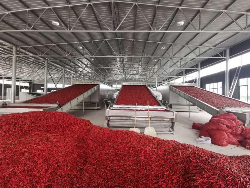 结对帮扶助力乡村振兴活动,结对帮扶心连心推进乡村振兴