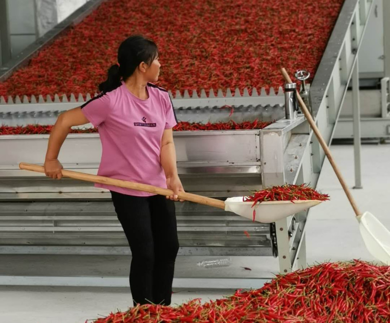 结对帮扶助力乡村振兴活动,结对帮扶心连心推进乡村振兴