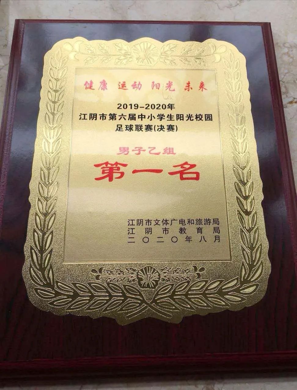 这群孩子了不得！江阴足球小将绿茵场精彩对决