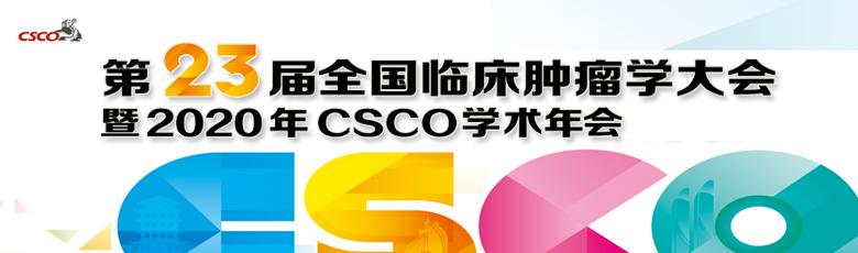 洪小南教授,复旦大学附属肿瘤医院洪小南教授