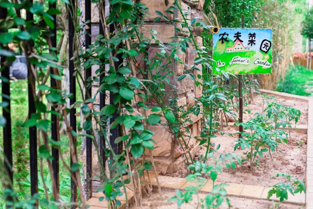 北大培文南充幼儿园,南充北大培文国际幼儿园