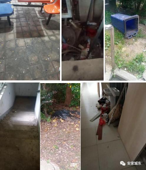 小区堵车物业处理不了,小区内经常堵车怎么投诉物业