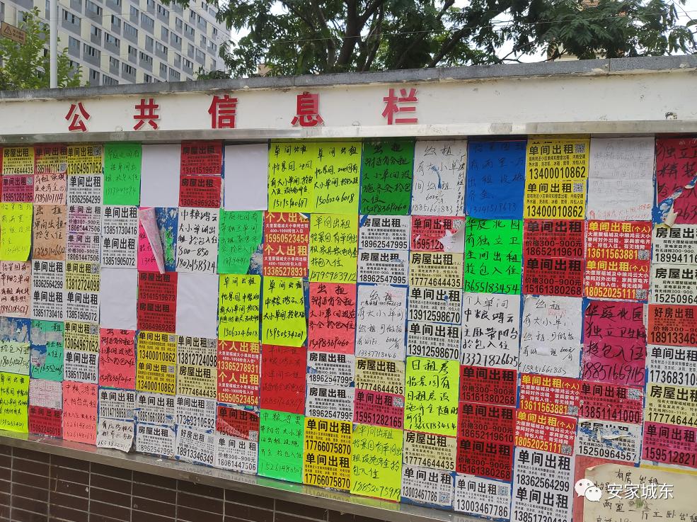 小区堵车物业处理不了,小区内经常堵车怎么投诉物业