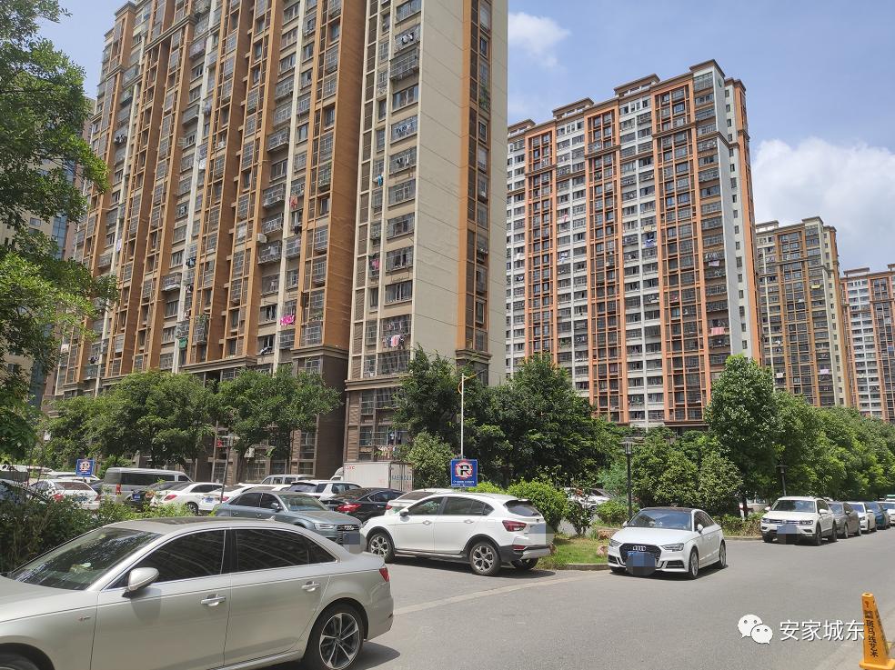 小区堵车物业处理不了,小区内经常堵车怎么投诉物业